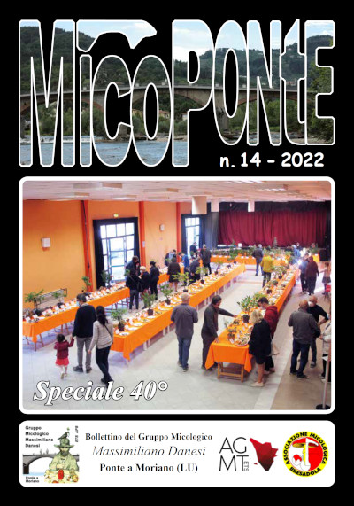 Micoponte 14