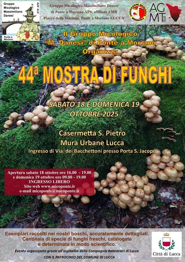 44a Mostra di Funghi